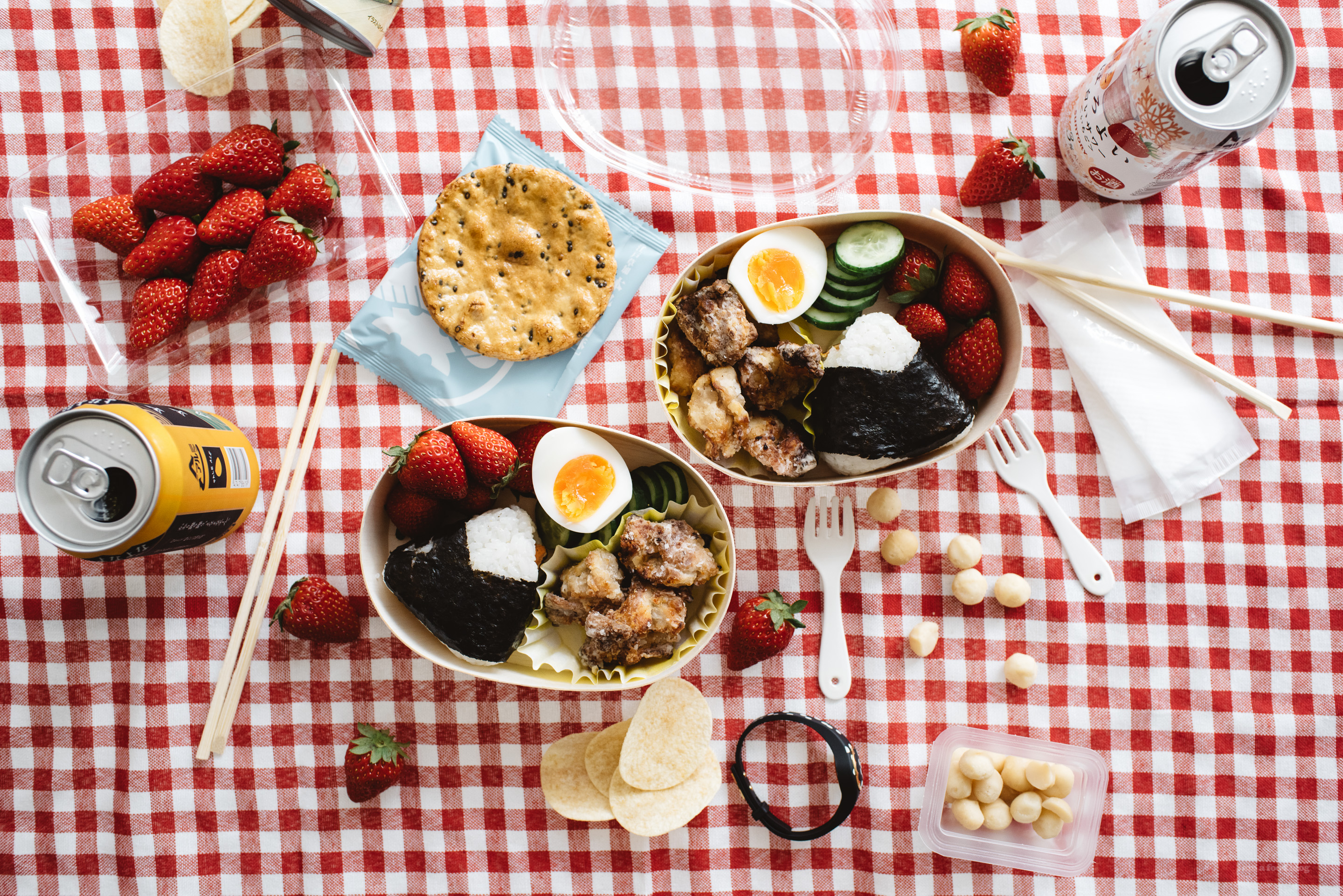 12 Things to Make and Take on a Japanese-Inspired Picnic!