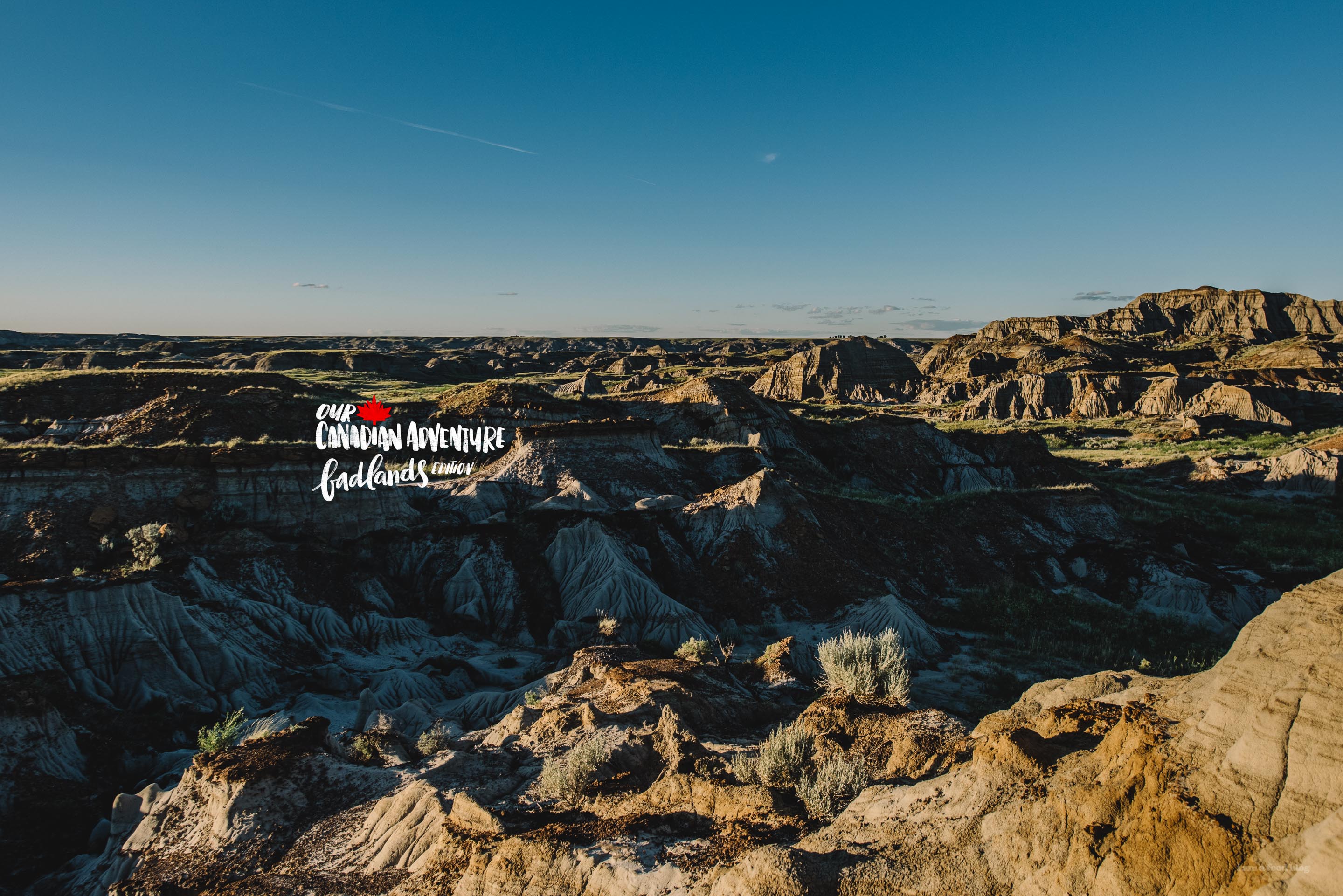 Our Canadian Adventure: the Alberta Badlands and Camping in Dinosaur Provincial Park
